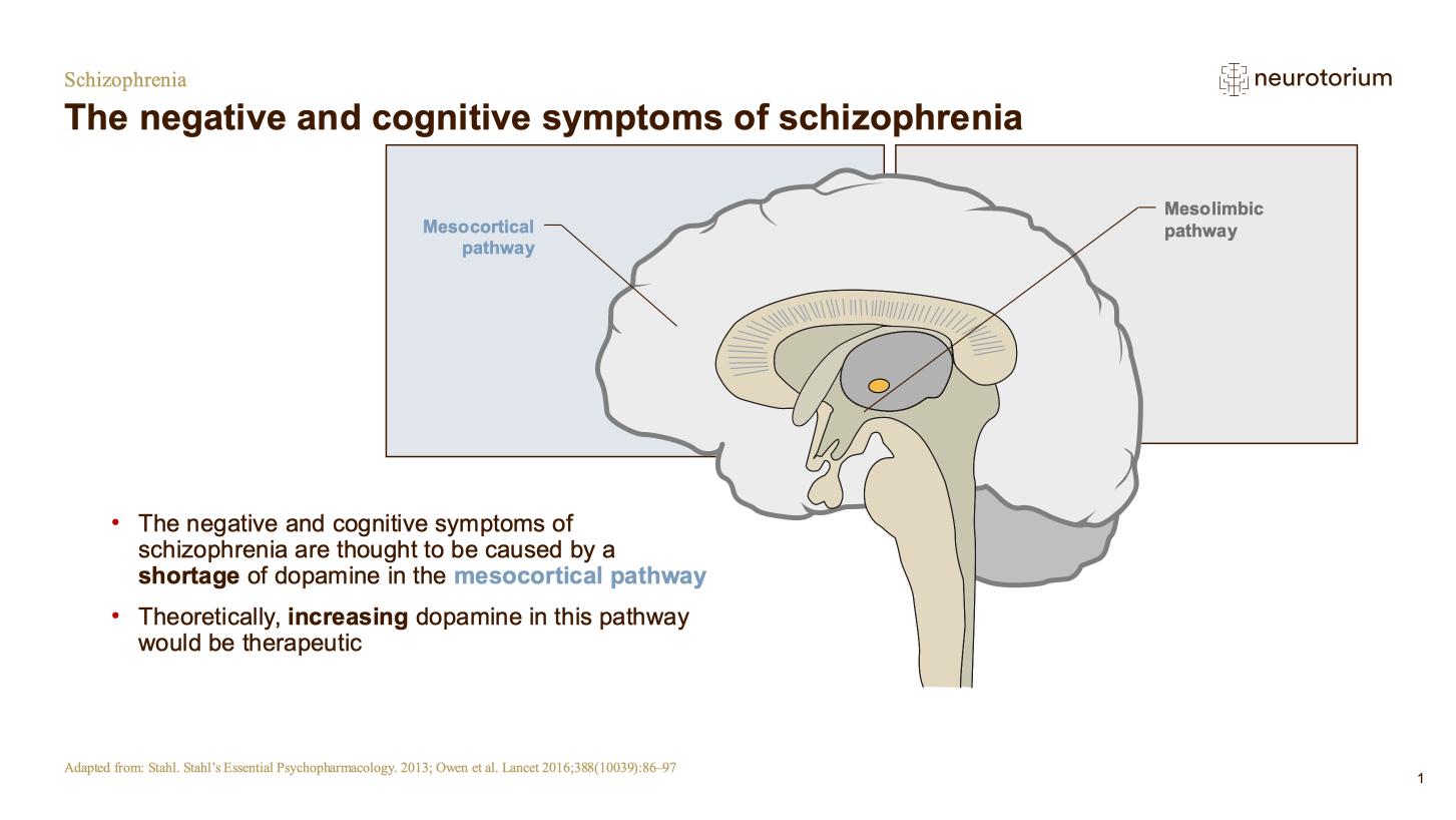 Schizophrenia – Neurobiology and Aetiology – slide 25